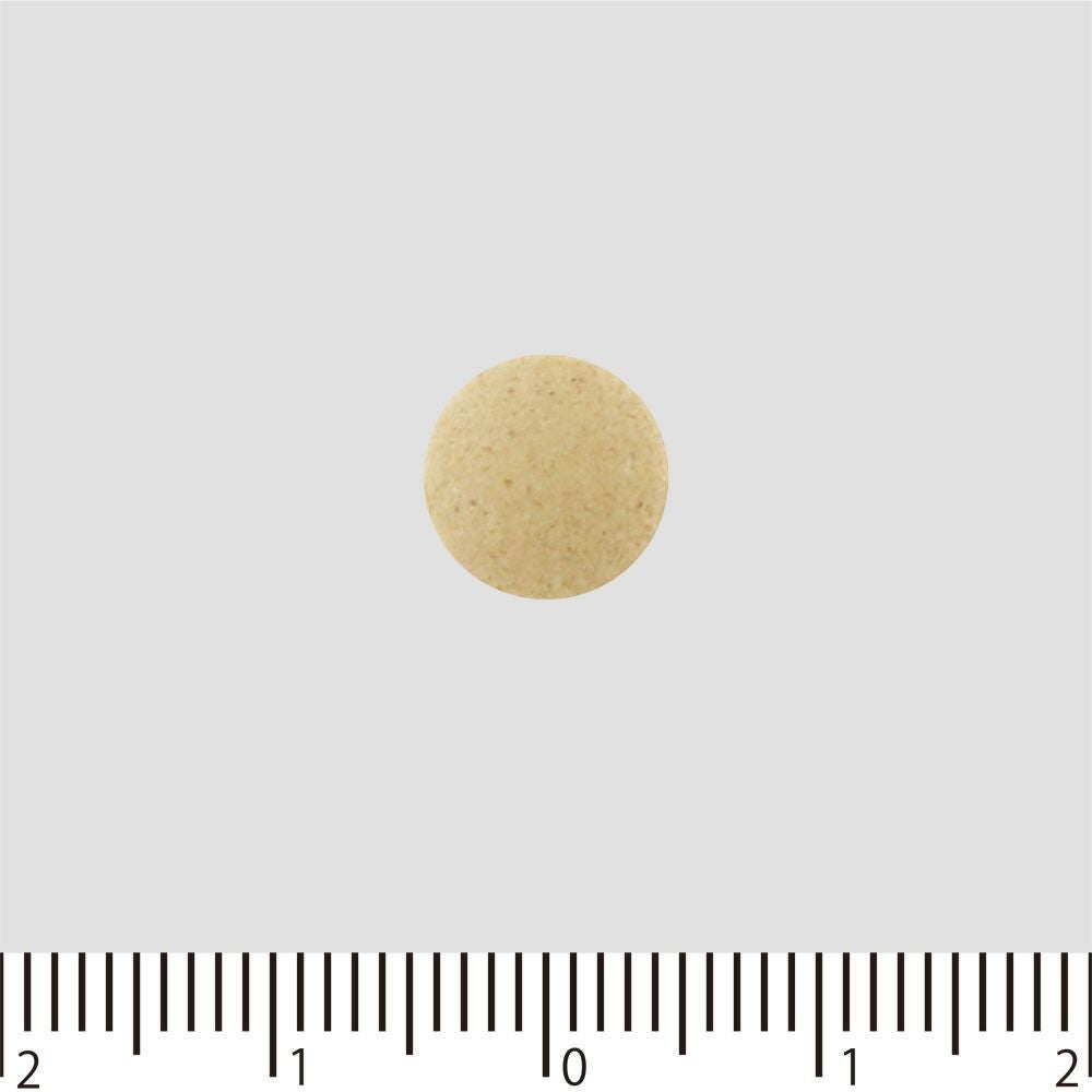強力わかもと 300粒 わかもと製薬 【指定医薬部外品】