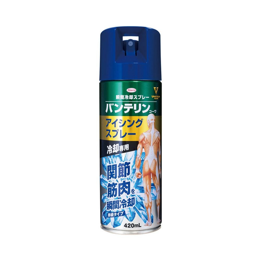 バンテリン アイシングスプレー 420ml 興和