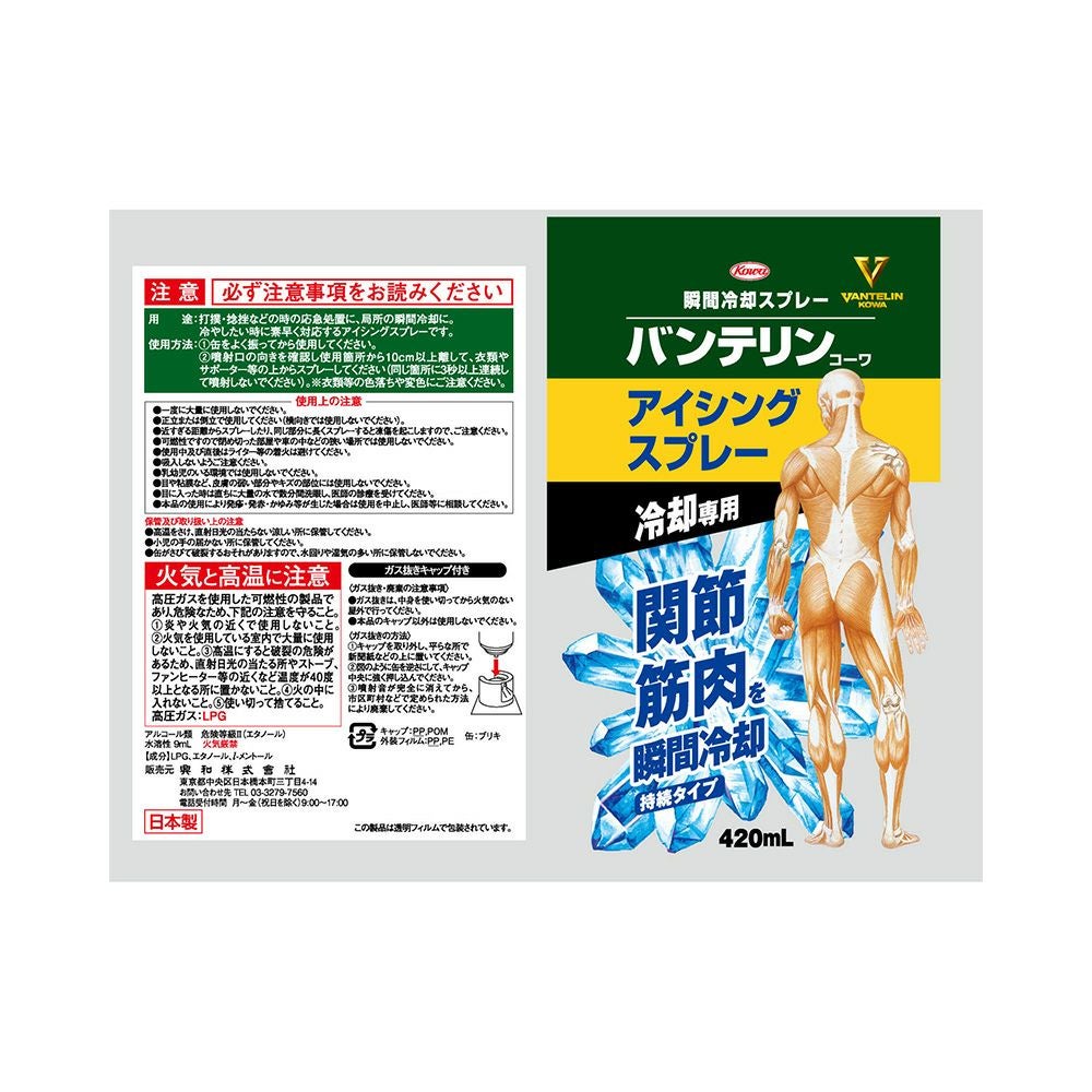 バンテリン アイシングスプレー 420ml 興和