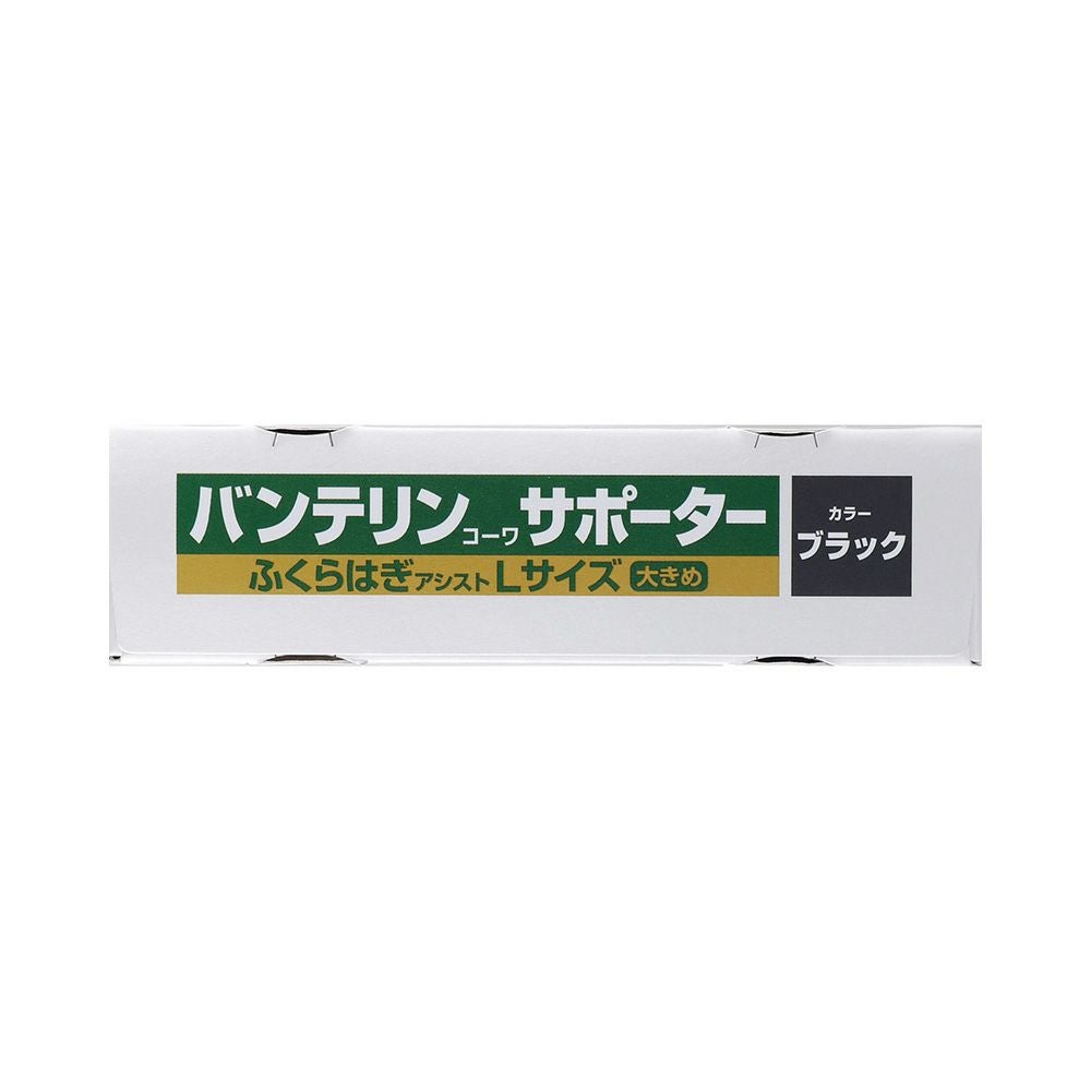 バンテリンサポーターフクラハギアシスト オオキメ 興和