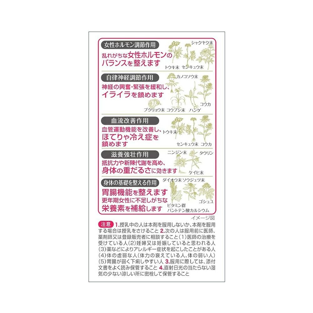 命の母A 420錠 小林製薬 【第2類医薬品】