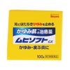かゆみ肌修復ムヒソフト 100g 池田模範堂 【第3類医薬品】